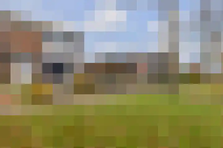 Boskkamp 30 Augustinusga thumbnail 36