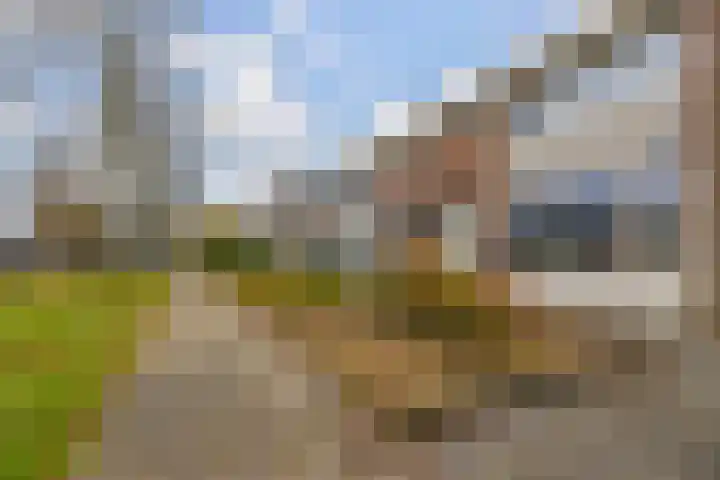 Boskkamp 30 Augustinusga thumbnail 5