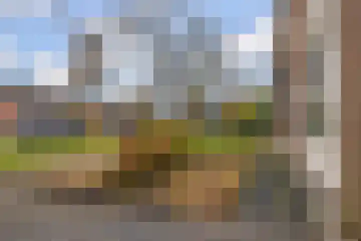 Boskkamp 30 Augustinusga thumbnail 7