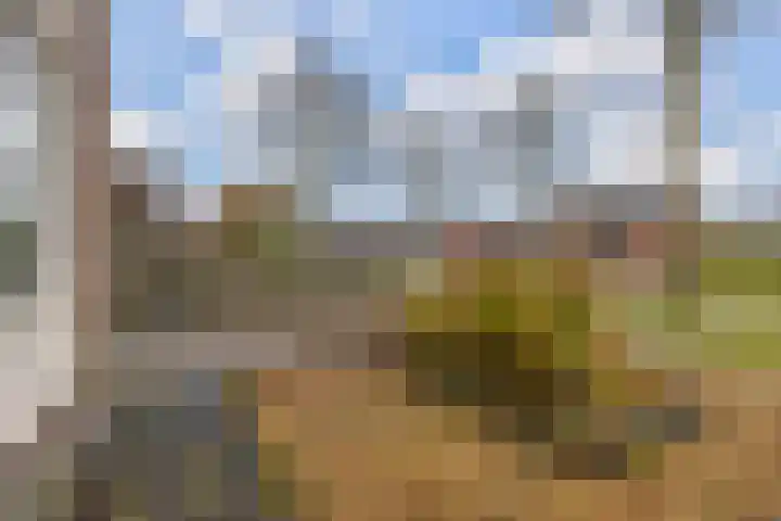 Boskkamp 30 Augustinusga thumbnail 8