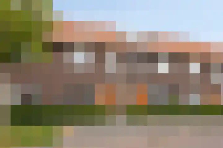 Boskolk 10 Wapenveld