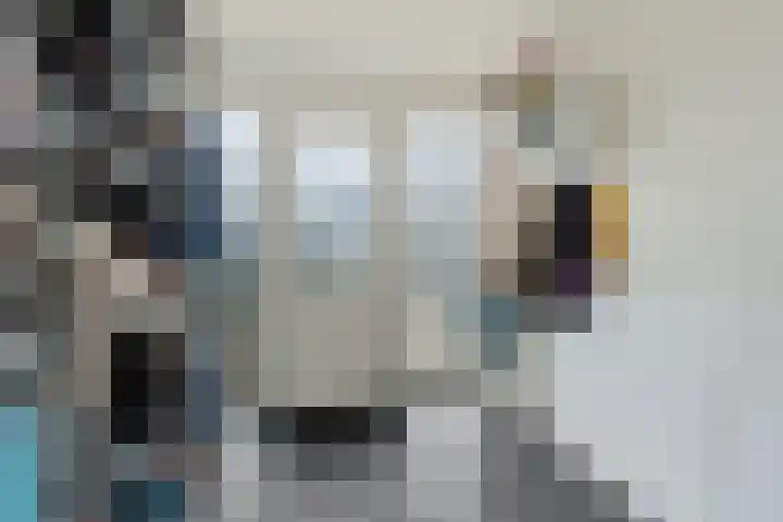Boskraai 69 Emmen thumbnail 15