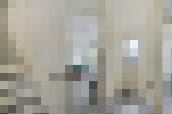 Boskraai 69 Emmen thumbnail 16
