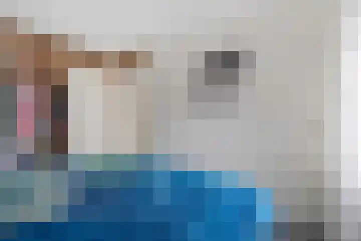 Boskraai 69 Emmen thumbnail 19