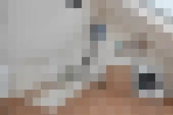 Boskraai 69 Emmen thumbnail 27