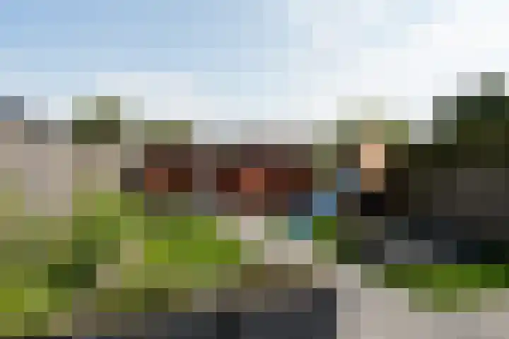Boskraai 69 Emmen thumbnail 30