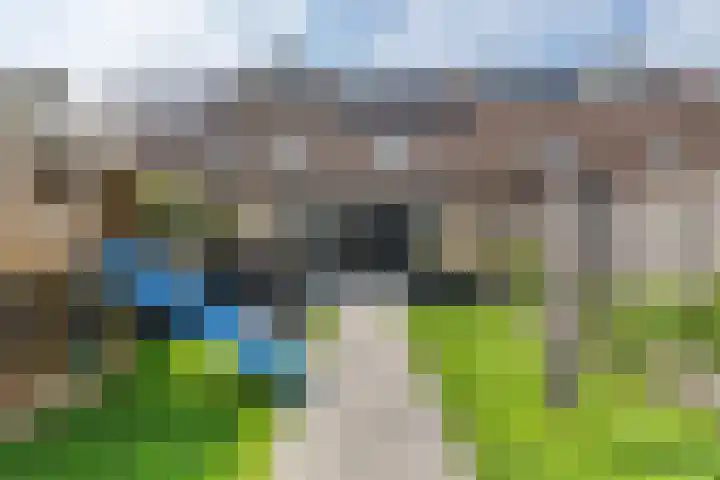 Boskraai 69 Emmen thumbnail 33