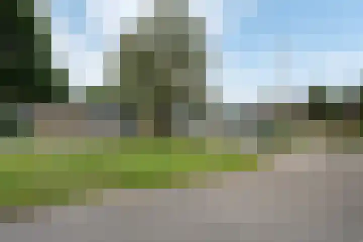 Boskraai 69 Emmen thumbnail 34