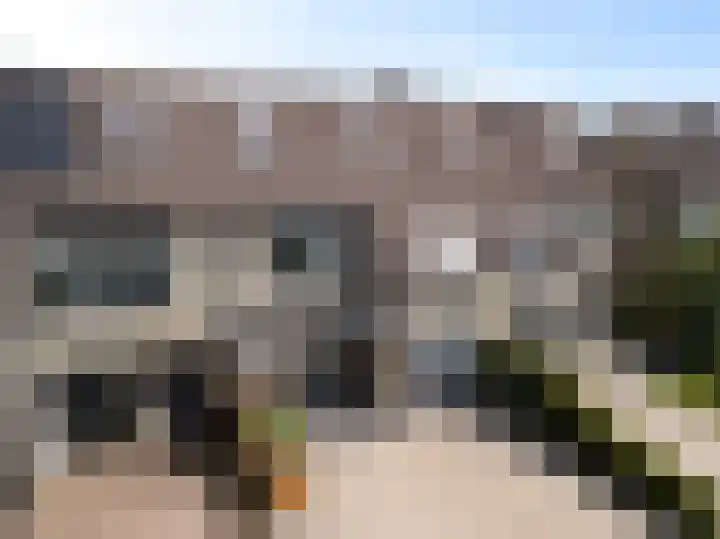 Boskraai 69 Emmen thumbnail 36