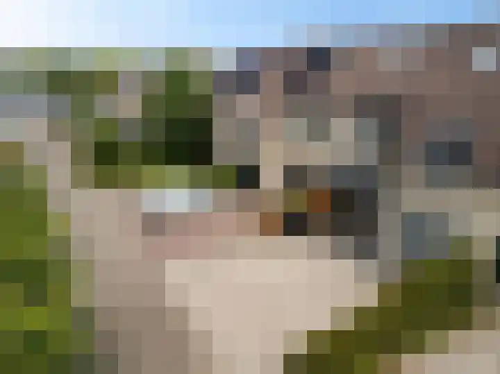 Boskraai 69 Emmen thumbnail 37