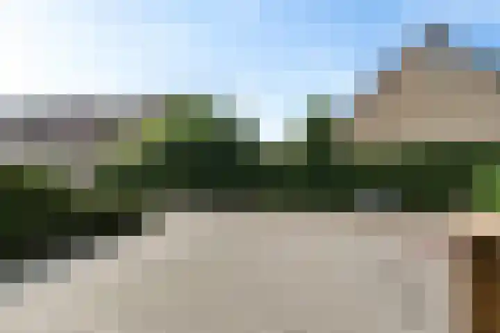 Boskraai 69 Emmen thumbnail 42