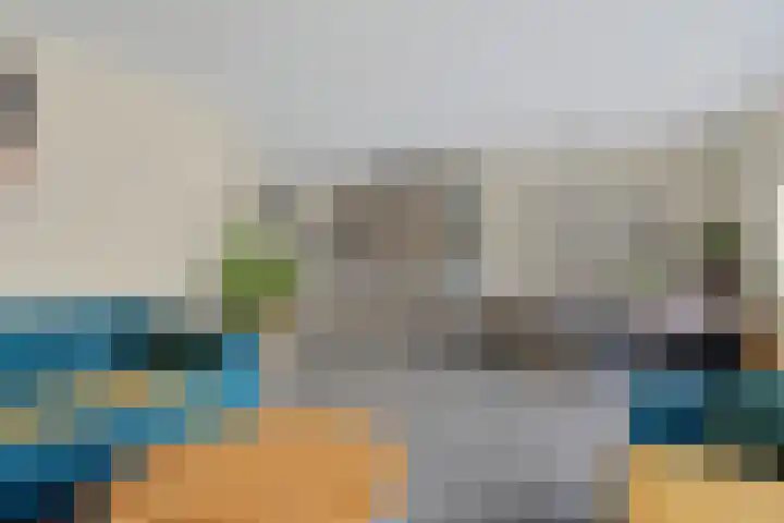 Boskraai 69 Emmen thumbnail 6