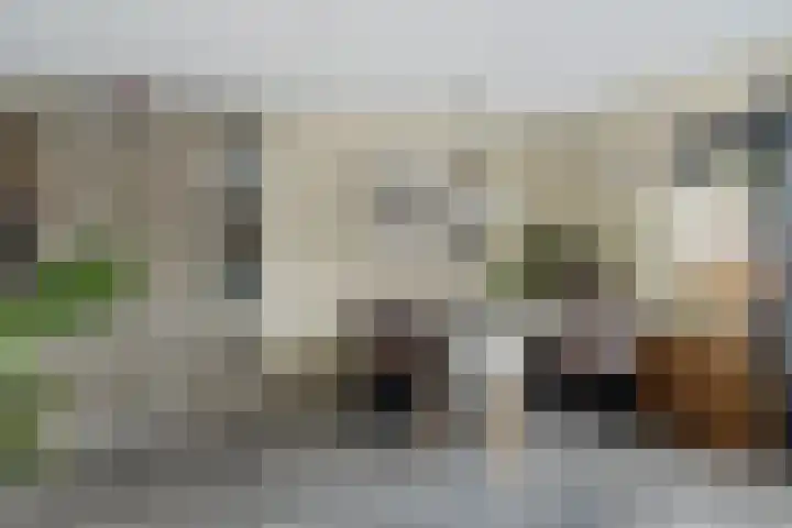 Boskraai 69 Emmen thumbnail 7