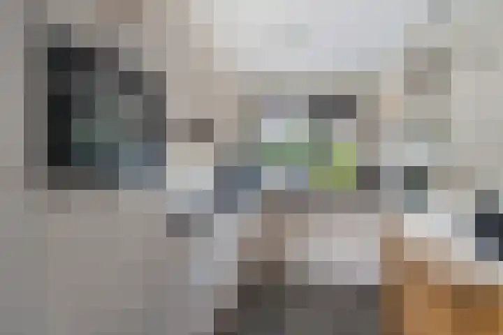 Boskraai 69 Emmen thumbnail 8