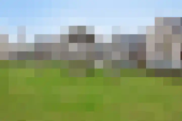Boskriek 27 Alphen thumbnail 23