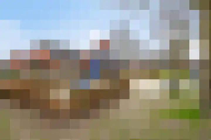 Boskriek 27 Alphen thumbnail 25