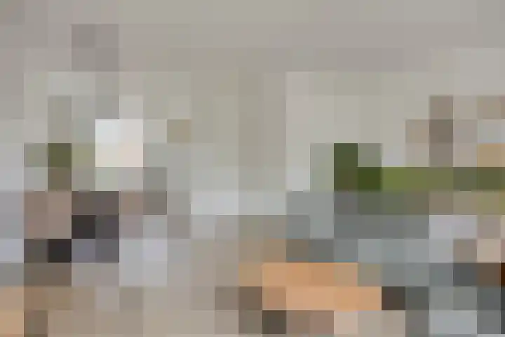 Boskriek 27 Alphen thumbnail 5