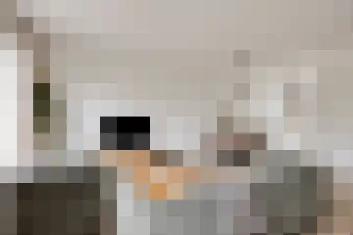 Boskriek 27 Alphen thumbnail 6