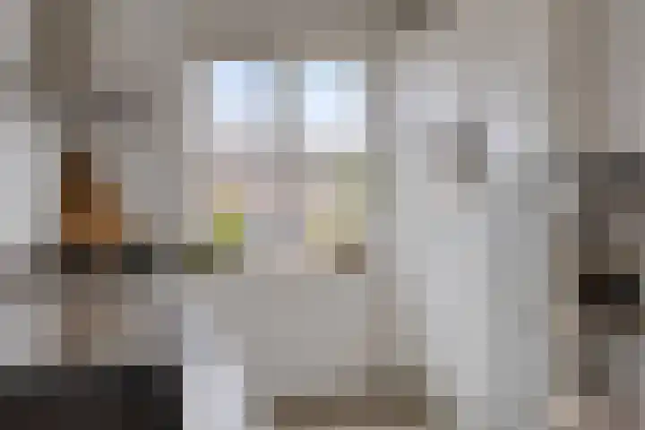 Boskriek 27 Alphen thumbnail 8