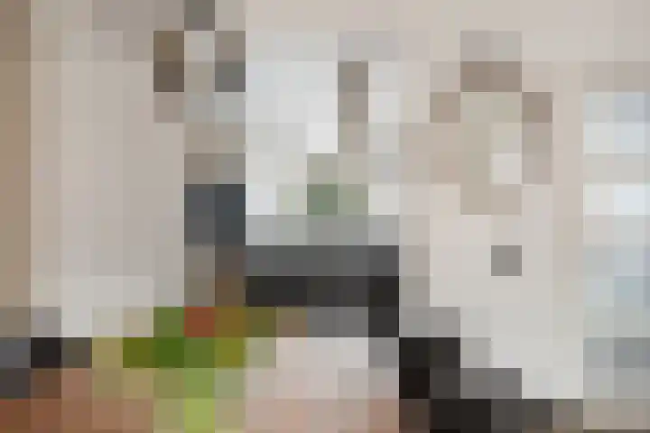Boskriek 38 Uden thumbnail 15
