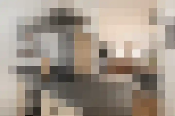 Boskriek 38 Uden thumbnail 20