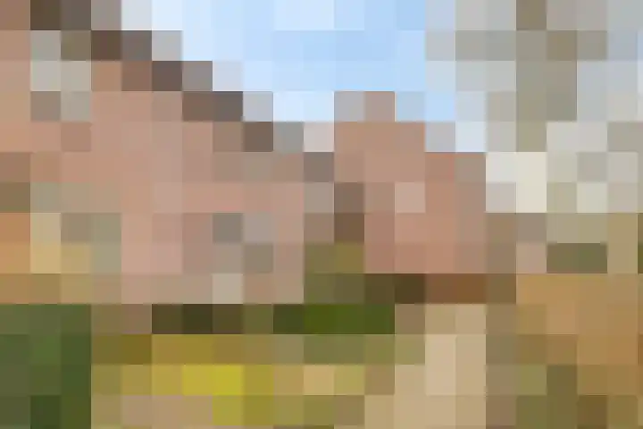 Boskriek 38 Uden thumbnail 41