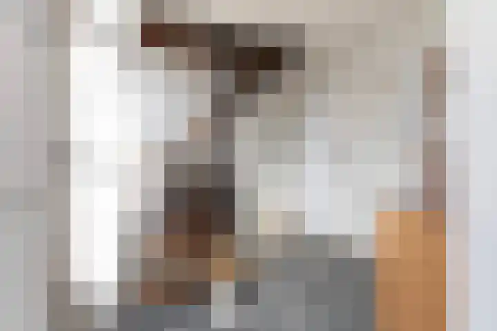 Boskwei 55 Sweagerbosk thumbnail 11