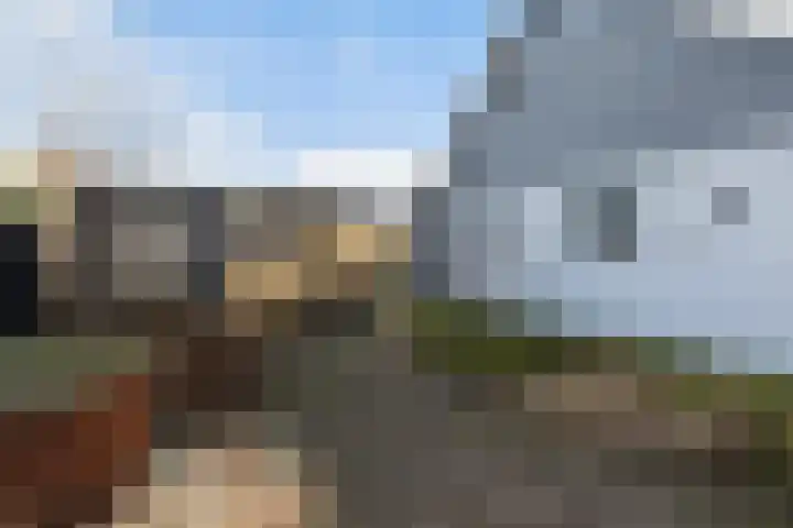 Boskwei 55 Sweagerbosk thumbnail 39