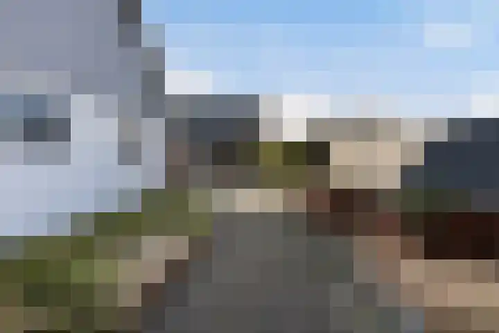 Boskwei 55 Sweagerbosk thumbnail 42