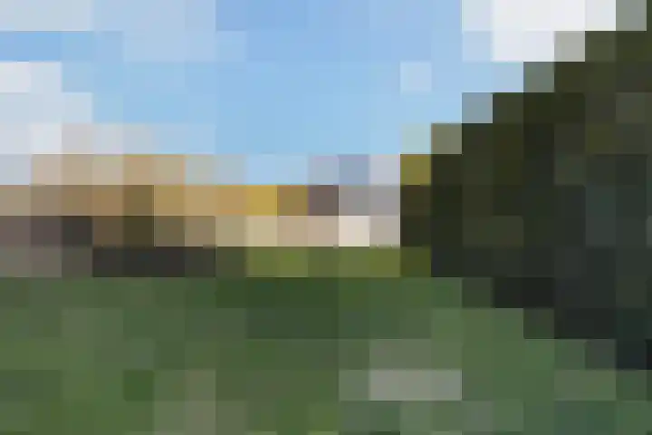 Boskwei 55 Sweagerbosk thumbnail 44