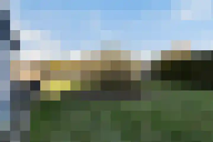Boskwei 55 Sweagerbosk thumbnail 45