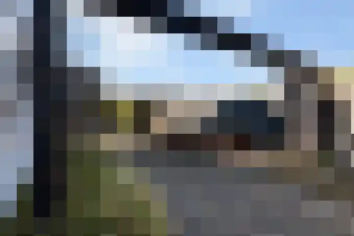 Boskwei 55 Sweagerbosk thumbnail 46