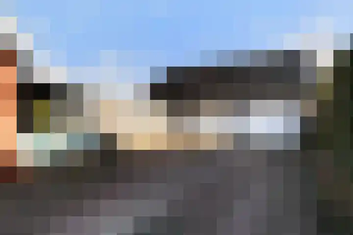 Boskwei 55 Sweagerbosk thumbnail 48