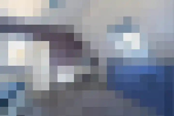 Boskwei 55 Sweagerbosk thumbnail 58