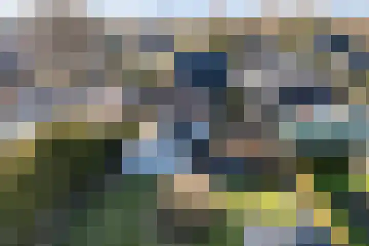 Boskwei 55 Sweagerbosk thumbnail 61