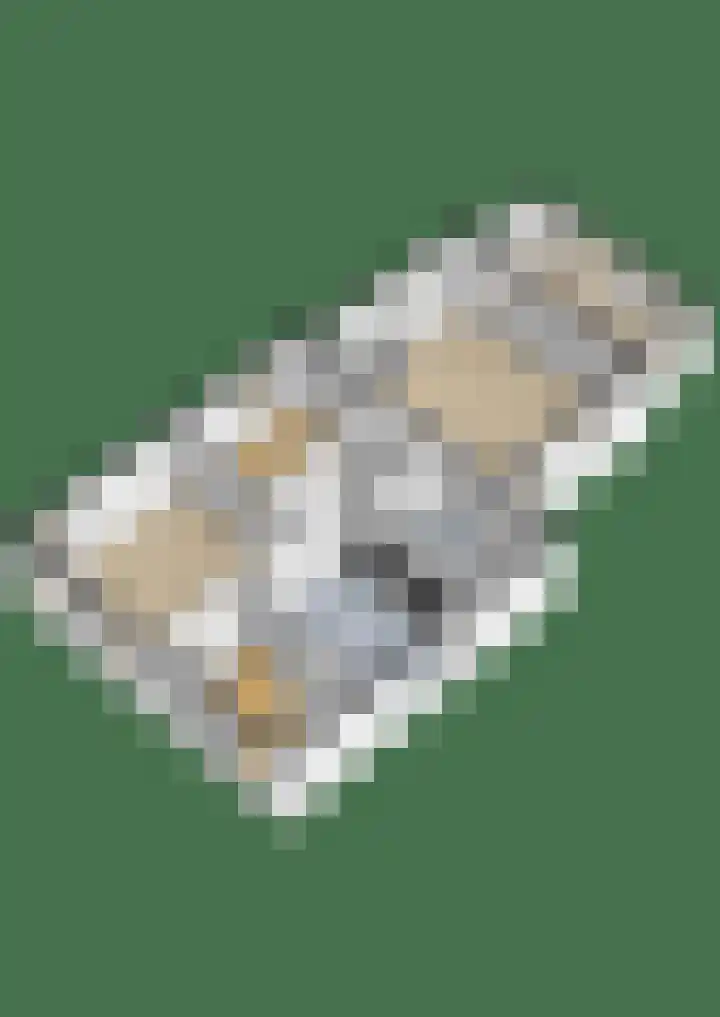 Boskwei 55 Sweagerbosk thumbnail 63