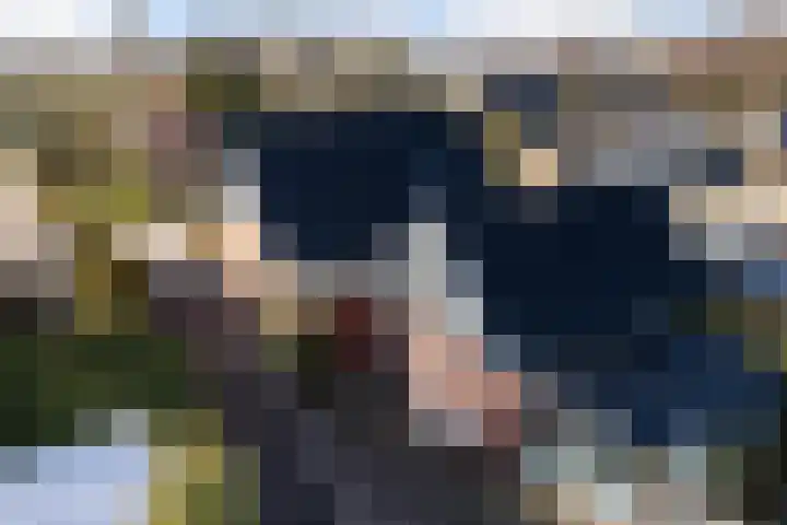 Boskwei 55 Sweagerbosk thumbnail 7