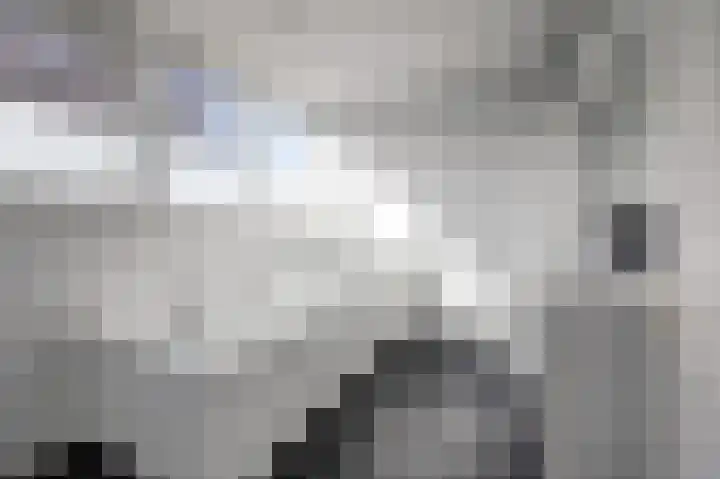 Boslaan 113 Dronten thumbnail 37
