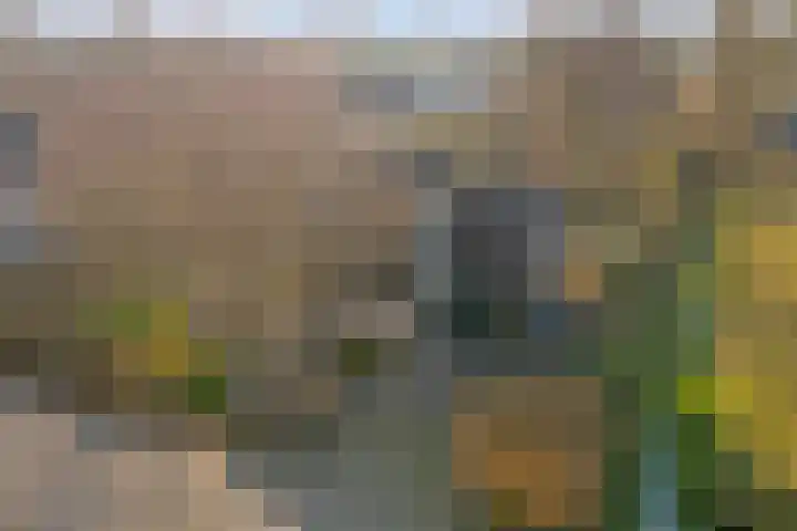 Boslaan 113 Dronten thumbnail 42