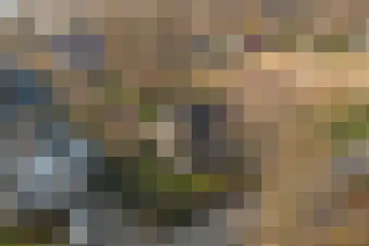 Boslaan 113 Dronten thumbnail 43