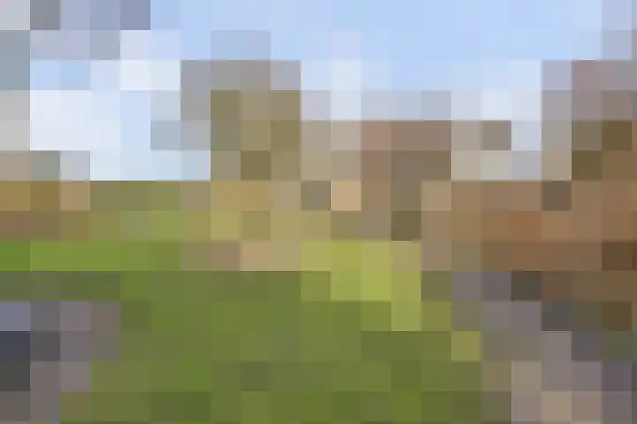 Boslaan 113 Dronten thumbnail 47