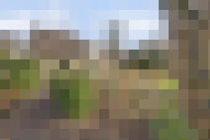 Boslaan 113 Dronten thumbnail 48