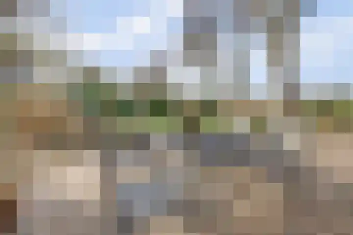 Boslaan 113 Dronten thumbnail 52