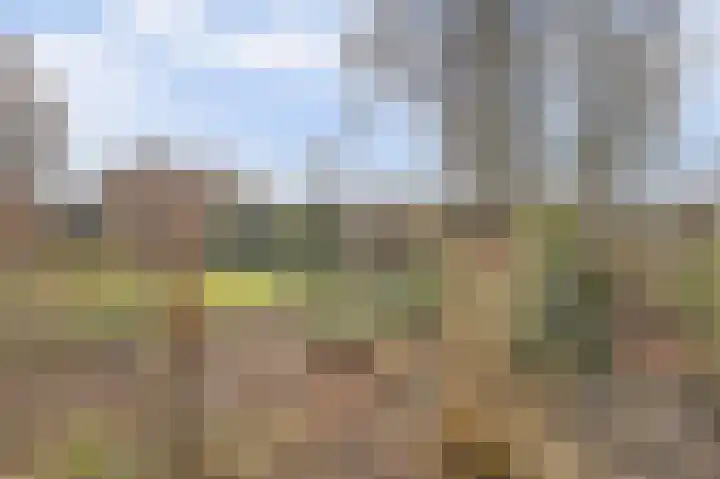Boslaan 113 Dronten thumbnail 53