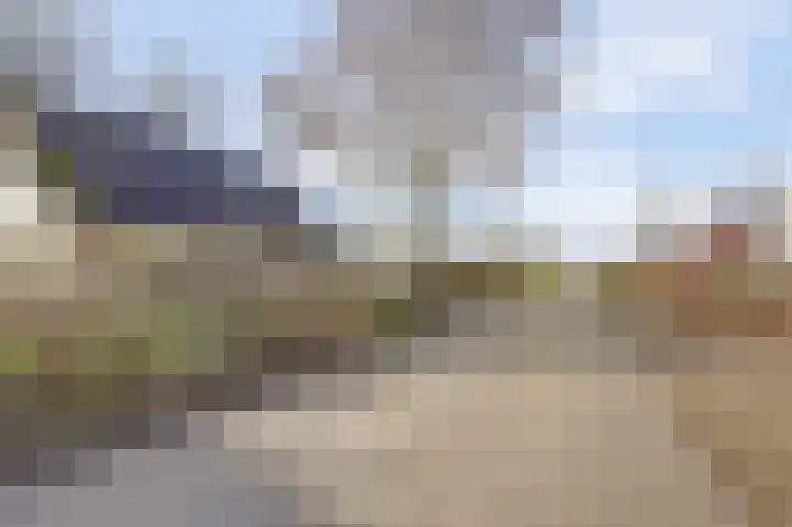Boslaan 113 Dronten thumbnail 59