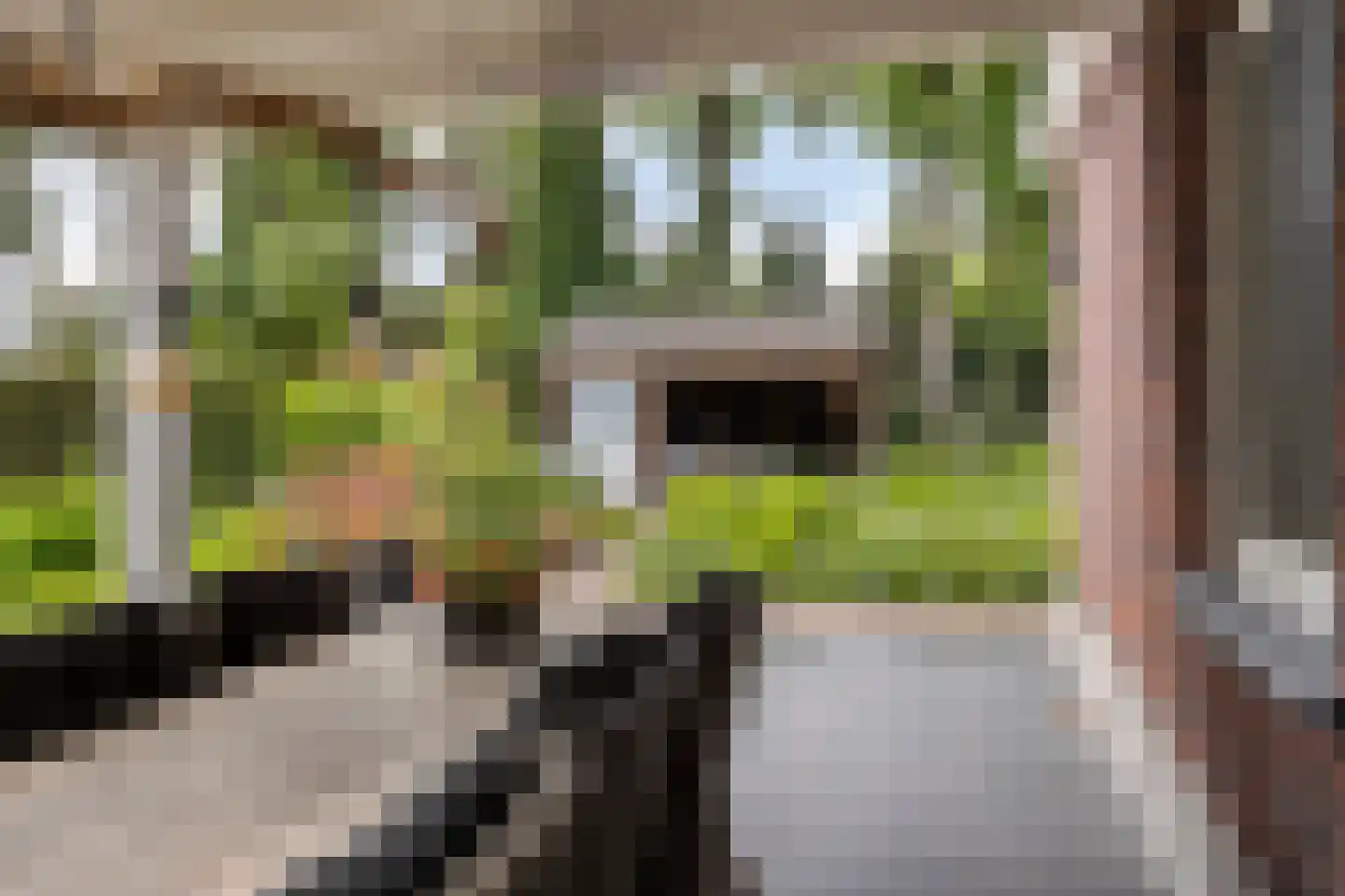 Boslaan 19 Uden thumbnail 48