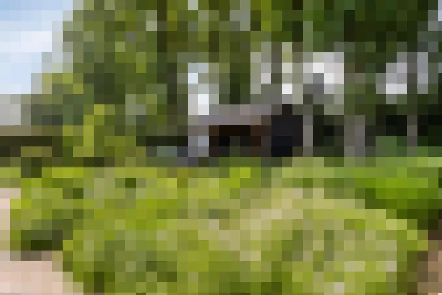 Boslaan 19 Uden thumbnail 51