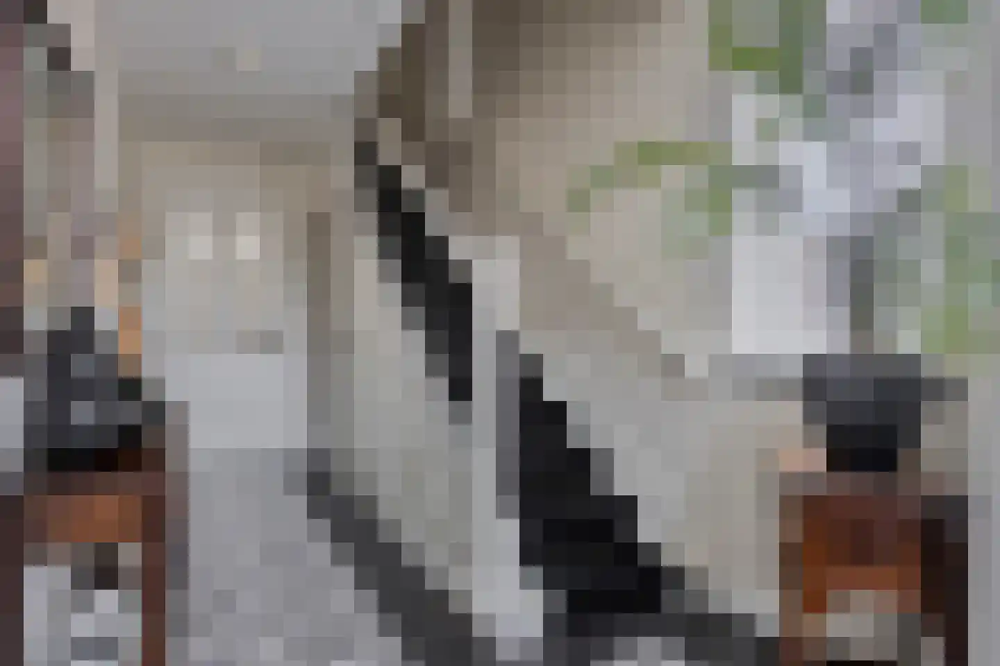 Boslaan 19 Uden thumbnail 9