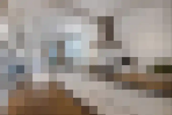 Boslaan 2 Huizen thumbnail 11