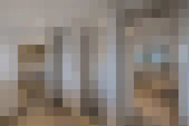 Boslaan 2 Huizen thumbnail 25